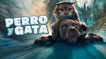 Perro y gata (2024)