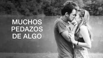 Muchos pedazos de algo (2015)