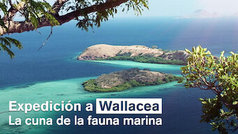 Expedition Wallacea – The Cradle of Marine Life (2007)