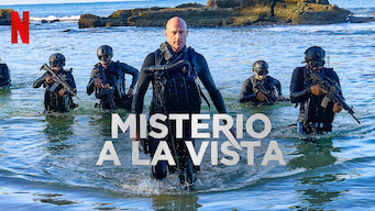 Misterio a la vista (2023)