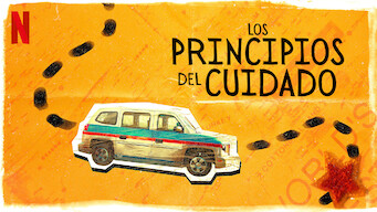 Los principios del cuidado (2016)