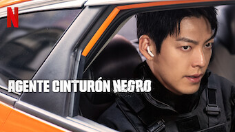 Agente cinturón negro (2024)