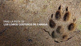 Tras la pista de los lobos costeros de Canadá (2006)