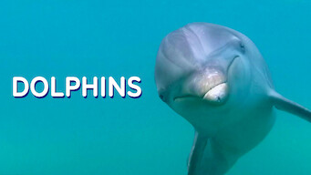 Delfines en 3D (2013)